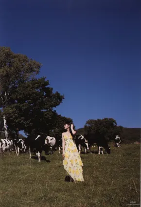 道重さゆみ/道重沙由美《Blue Rose》寫真集