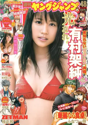有村架純 高橋亜由美 [Weekly Young Jump] 2012年No.48 寫真雜志