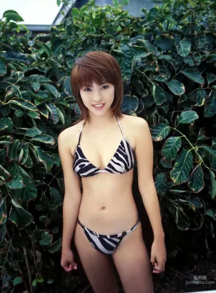 [NS Eyes] SF-No.341 岩佐真悠子 Mayuko Iwasa 寫真集