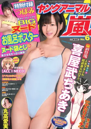 喜屋武ちあき 丸高愛実 つぼみ [Young Animal Arashi 岚特刊] No.06 2013年 寫真雜志