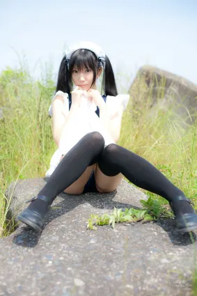 Lenfried&Pude(ぷで)&Ushijima Iiniku - [lenfriedom! type-D] Maid [Heruheru3] 寫真集