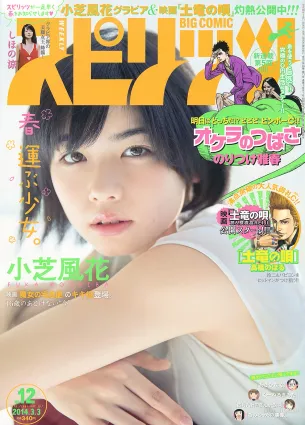 [Weekly Big Comic Spirits] 小芝風花 しほの涼 2014年No.12 寫真雜志