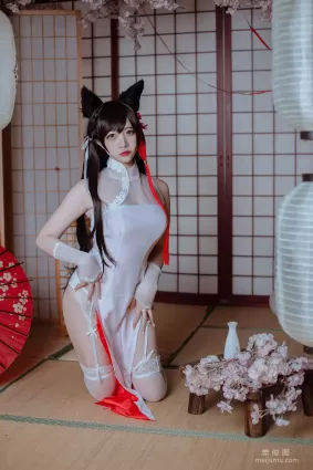 [Cosplay] 二佐Nisa - 犬之眷之碧藍愛宕 旗袍